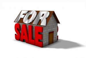 1235157_house_for_sale.jpg